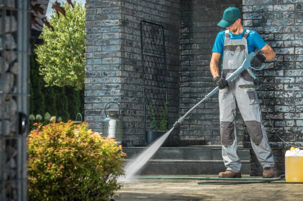 Best Solar Panel Cleaning  in Vinton, TX